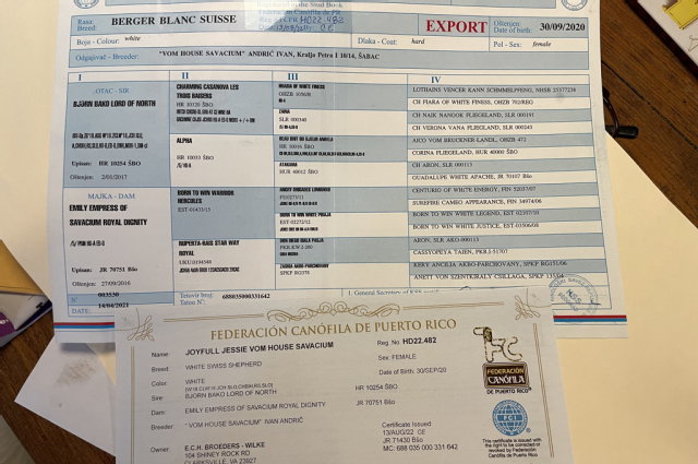 The Sunnyside Sisters Bed and Breakfast / Clarksville VA / Berger Blanc Suisse translated