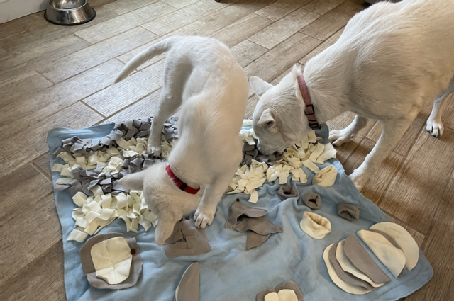 The Sunnyside Sisters Bed and Breakfast / Clarksville VA / Prepared…almost:-)