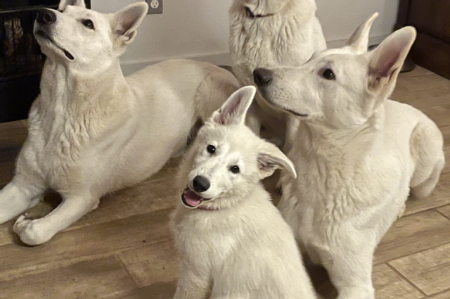 The Sunnyside Sisters Bed and Breakfast / Clarksville VA / Happy Kings Day!!!