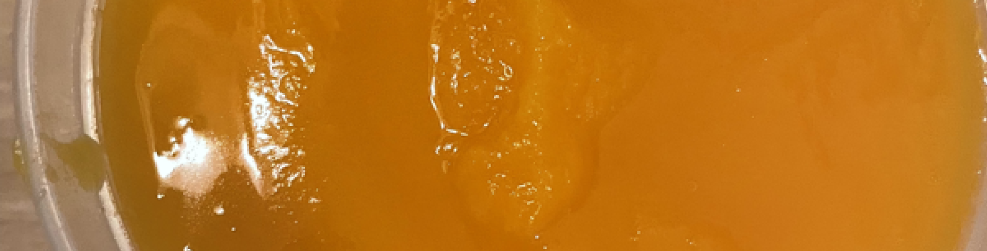 Sunnyside White Swiss Shepherds / Clarksville VA /