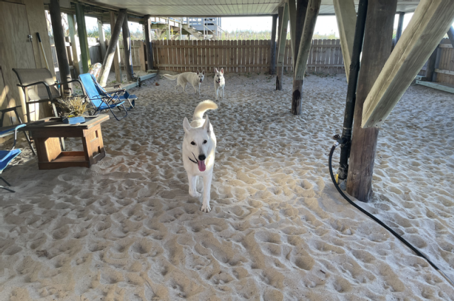 The Sunnyside Sisters Bed and Breakfast / Clarksville VA / Couple days beach