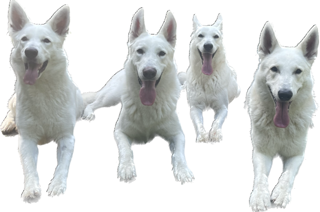 The Sunnyside Sisters Bed and Breakfast / Clarksville VA / Mijne 4 years old today!