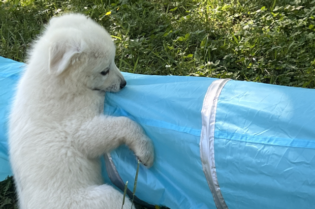 The Sunnyside Sisters Bed and Breakfast / Clarksville VA / I like that ... let's do it again!