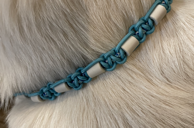 The Sunnyside Sisters Bed and Breakfast / Clarksville VA / Tick & flea time