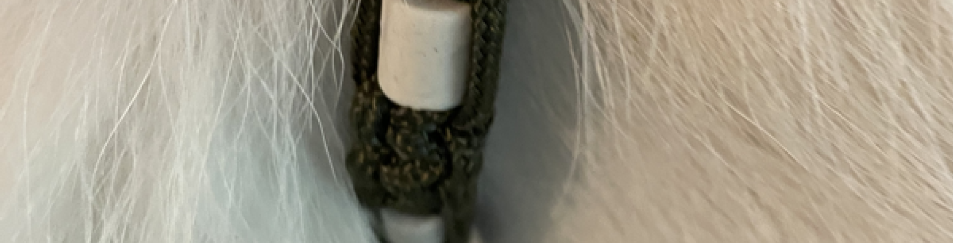 Sunnyside White Swiss Shepherds / Clarksville VA /