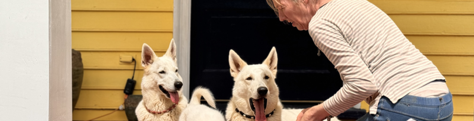 Sunnyside White Swiss Shepherds / Clarksville VA /