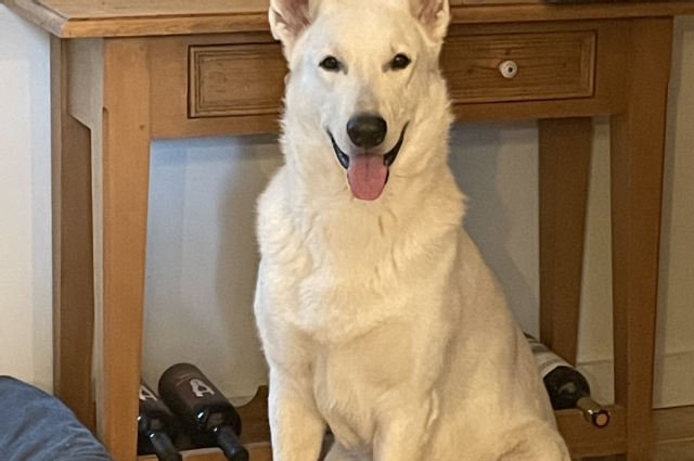 The Sunnyside Sisters Bed and Breakfast / Clarksville VA / Handsome Mojo six years today