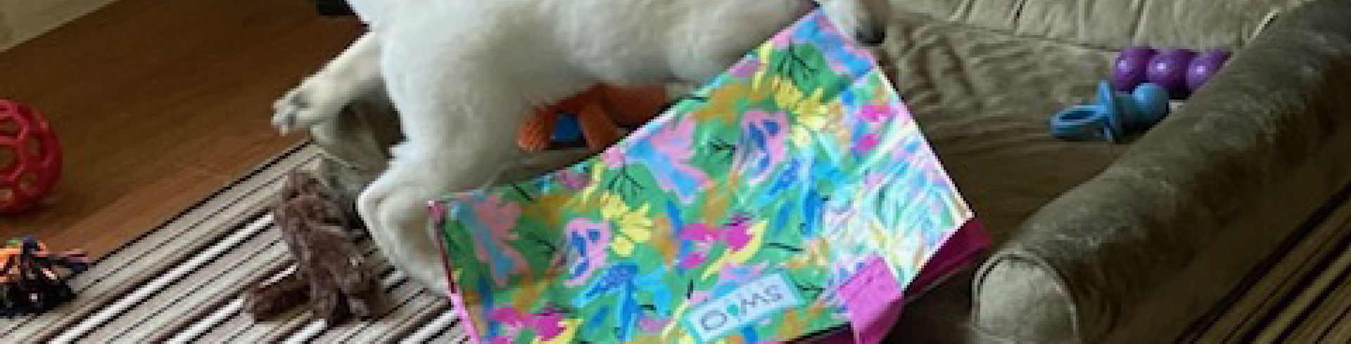 Sunnyside White Swiss Shepherds / Clarksville VA /