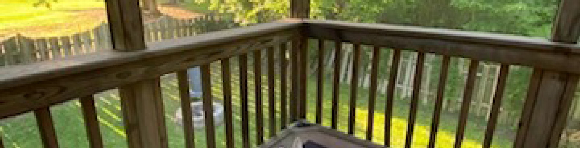 Sunnyside White Swiss Shepherds / Clarksville VA /