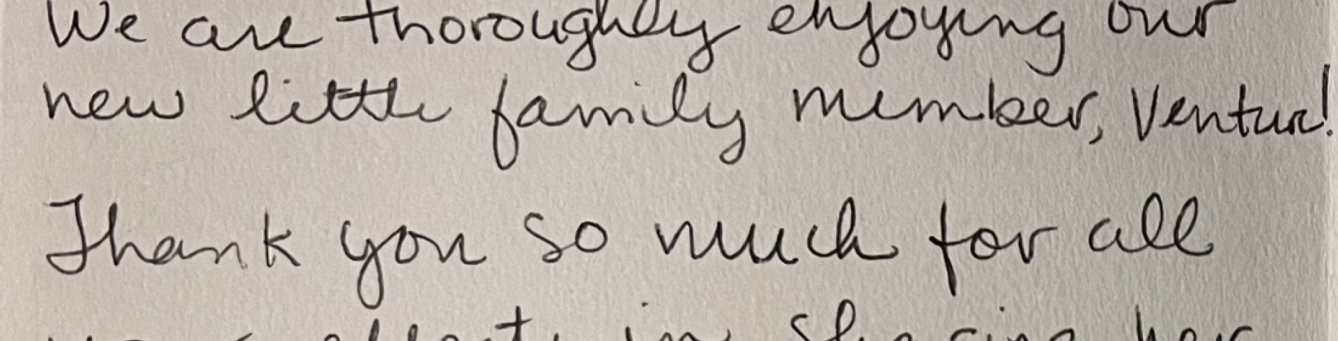 Sunnyside White Swiss Shepherds / Clarksville VA / You've got mail!