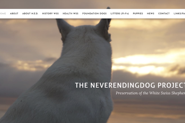 The Sunnyside Sisters Bed and Breakfast / Clarksville VA / Neverending Dog Project with Jane