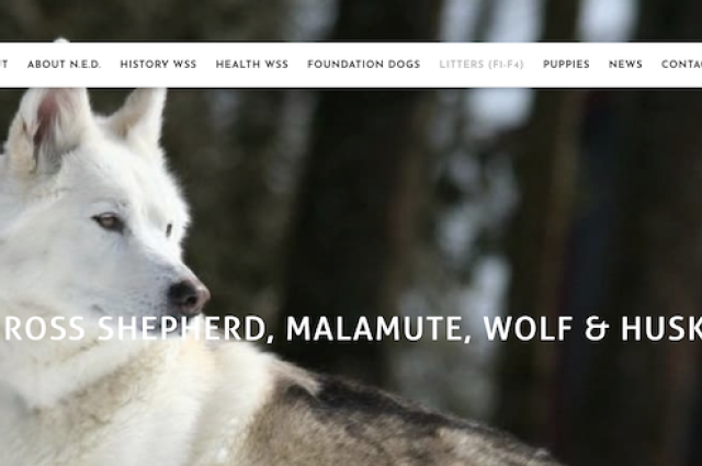 The Sunnyside Sisters Bed and Breakfast / Clarksville VA / First blog of my outcross program NeverendingDog Project a fact