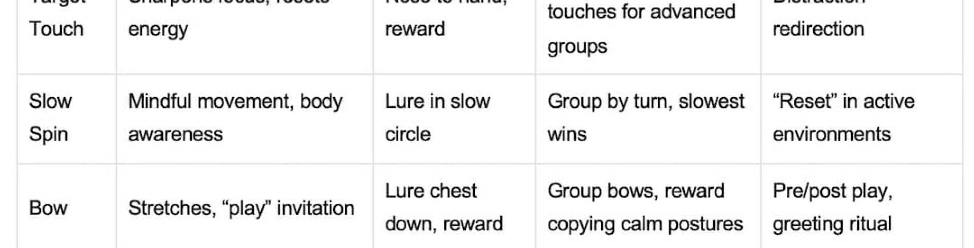 Sunnyside White Swiss Shepherds / Clarksville VA / 10 Calming and Engaging Dog Tricks: FUN time with Sien